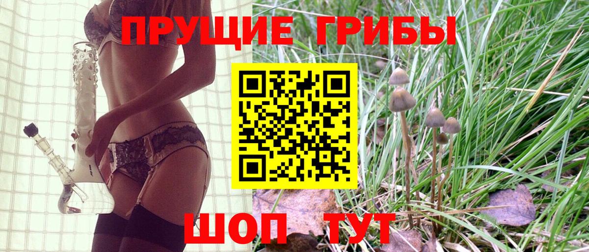 Галлюциногенные грибы Psilocybe  Галлюциногенные грибы ЛСД  Карачаевск  Вход с VPN 